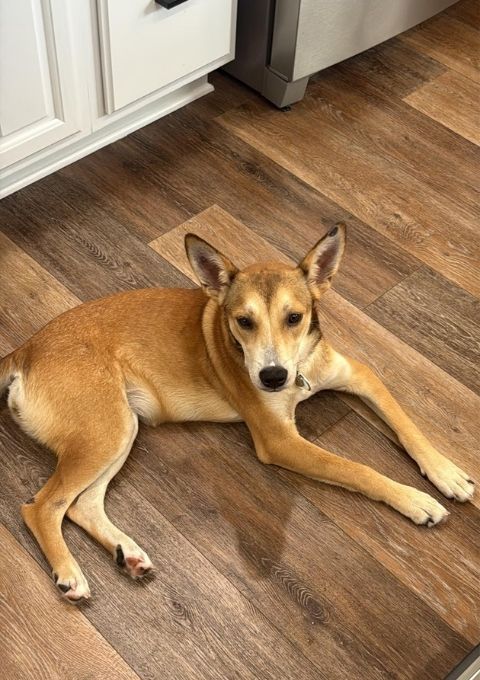 Our Services in action (16)